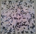 max tile black white color colorful shell tile/mosaic use for decoration 1