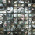 use for interior wall tile sea shell