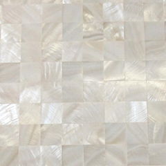 Natural shell tile for interior