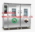 black garlic machine 1