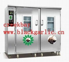 black garlic machine