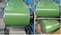 Prepainted Galavanized Steel Coil