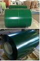 Prepainted Galavanized Steel Coil 2