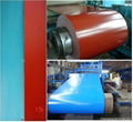 Prepainted Galavanized Steel Coil 5