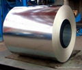 Galvalume Steel Coil