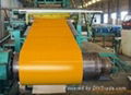 PPGI Steel Coil/Sheet