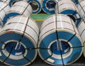 Color Steel Coil/Sheet