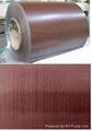 Color Galvanized Steel Coil/Sheet