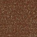 Polished tile(Pulati tile) 1