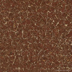 Polished tile(Pulati tile)