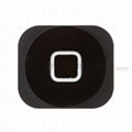 Apple iPhone 5 Home Button 1