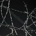 Barbed Wire  2