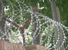 protect razor barbed wire