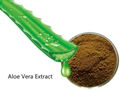 Aloe Vera Extract 1