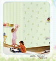 wall coverings  5