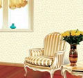 wall coverings 5