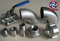 Pipe Fittings 1