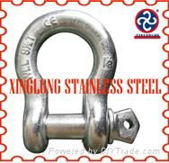 Stainless Steel Shackle