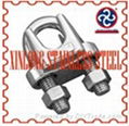 Stainless Steel Shackle 5