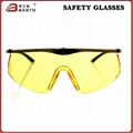 Safety Glasses 1