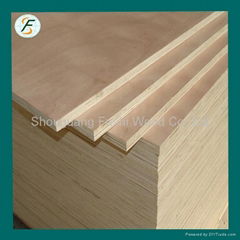 Commercial Plywood