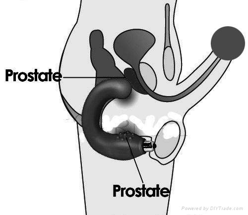 Male Prostate G-spot vibration anal sex toys 5