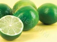 Fresh Lime