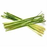 Lemon Grass