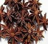 Star Aniseed