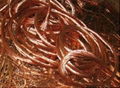 Sell Red Copper Wire