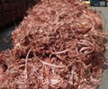 Sell Scrap Copper Birch/Cliff 1