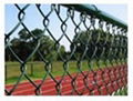 chain link fence  4