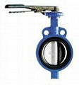 Butterfly Valve