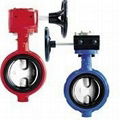 Short-Neck pin-less Butterfly Valve 1