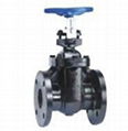 Non-Rising Stem Iron Gate Valve