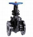 Rising Stem Iron Gate Valve