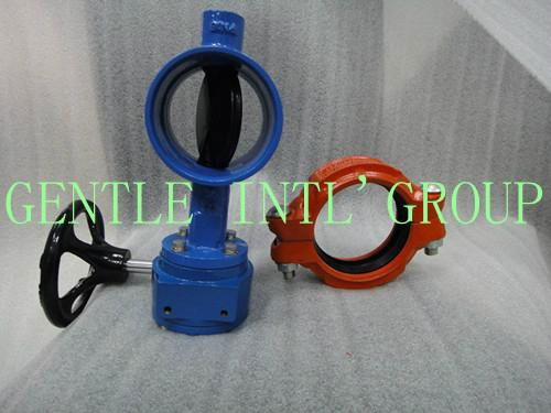 TDFA Series Butterfly Valves 3