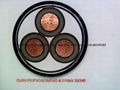 Medium voltage power cable