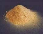 Lactoferrin Powder