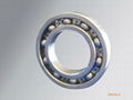  deep  groove  ball  bearing  1