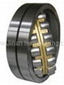 self-aligning  roller  bearing