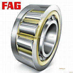 cylindrical  roller  bearing 