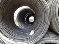 Steel Wire