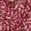 Purple Speckled Kidney beans