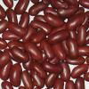 Dark english kidney beans