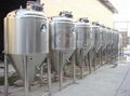 Fermenter  tank