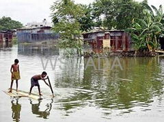 Flood Forecasting System