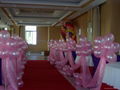 Promotional balloon/latex balloon/wedding balloon