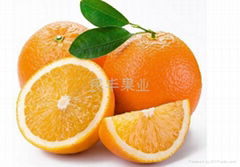 Navel orange