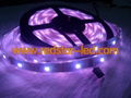 Dream color led strip6803 1